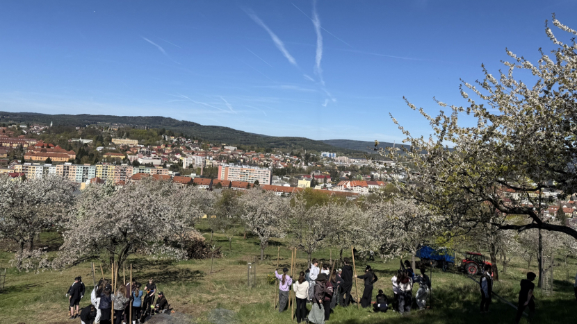 Příbram zažila ekologický ‚festival práce‘. 498 dětí, 40 Bobcatů a sad, který roste před očima