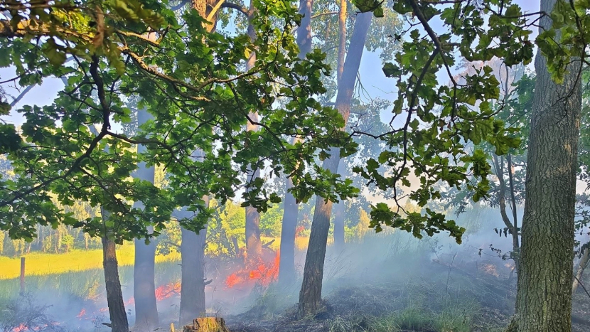 V lese u Hudčic na Březnicku hořel lesní porost, na místě zasahovali profesionální i dobrovolní hasiči společně s techniky energetické společnosti ČEZ