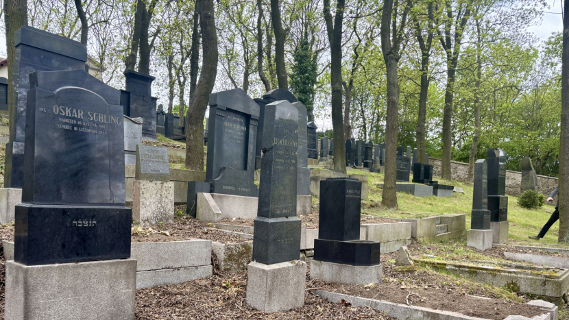 Zničené náhrobky, pobořená zeď. Poslední židovská památka v Příbrami volá o pomoc
