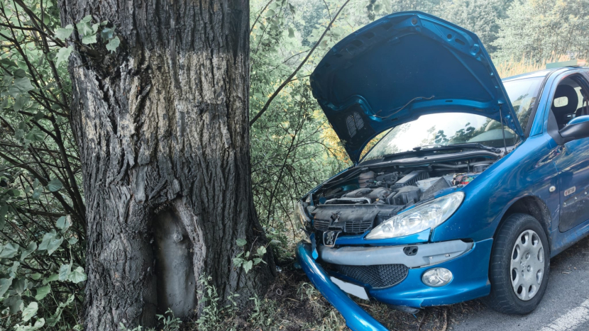 U Hluboše narazil řidič do stromu, dítě jelo na preventivní vyšetření do nemocnice