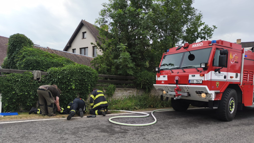 Záchranná akce se šťastným koncem: Hasiči ruku v ruce s ochránci přírody vyprostili z pasti malou vydru