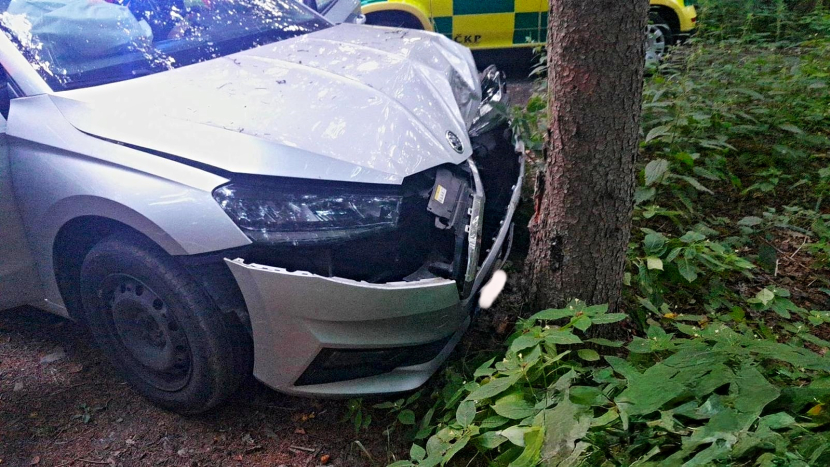Zfetovaný a opilý řidič napálil fabii do stromu: Auto samo zavolalo pomoc přes E-call