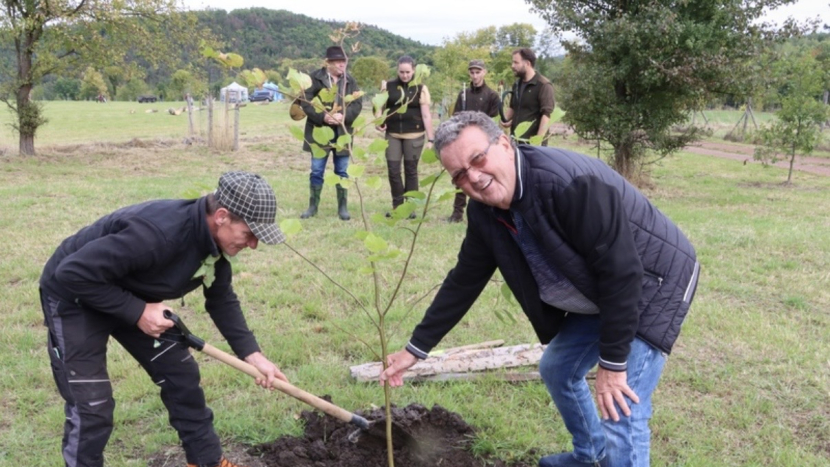 Brdské stromsázení letos spojí péči o vodu, les i historii zdejší krajiny