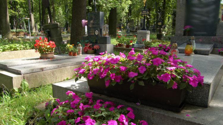 Množí se krádeže květin z hrobů, městská policie posiluje hlídky