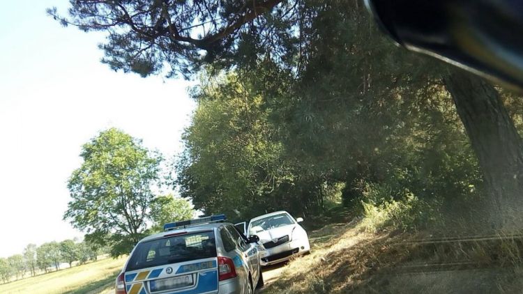 Auto u Slivice narazilo do stromu