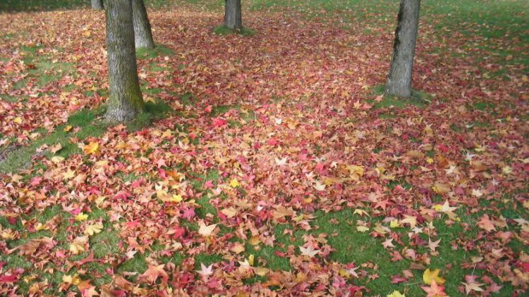 V neděli na Nováku můžete přivítat podzim