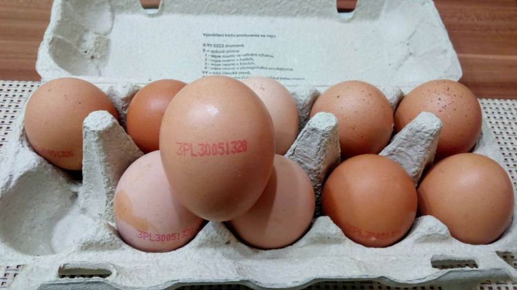 Polská vejce v obchodních řetězcích ohrožují salmonelou i Příbram