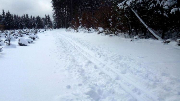 Lyžařské stopy v Brdech: Běžkaři jednají s Vojenskými lesy