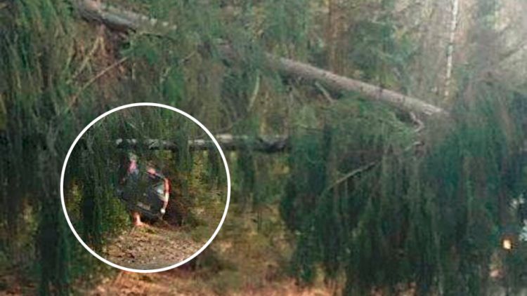 Padlý strom ukončil cestu řidiči u obce Radíč