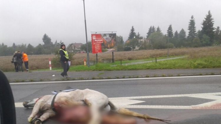 Sražený kůň u Mníšku a nehoda při cestě do Plzně