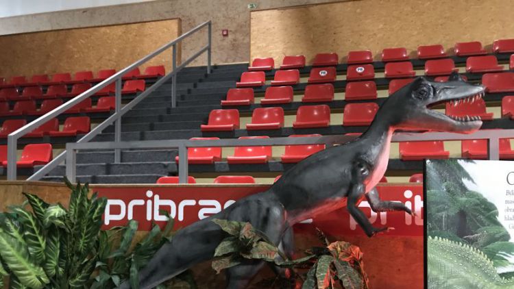 Video: Dinosauři ve sportovní hale návštěvníky zklamali