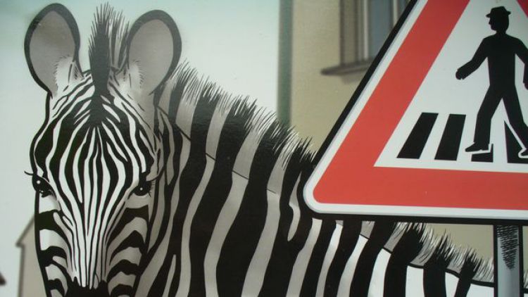Akce „Zebra se za Tebe nerozhlédne!“