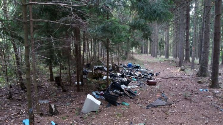 Další skupina "omezenců" si pomyslela, že vyvezený odpad chrám lesa snese a spolkne