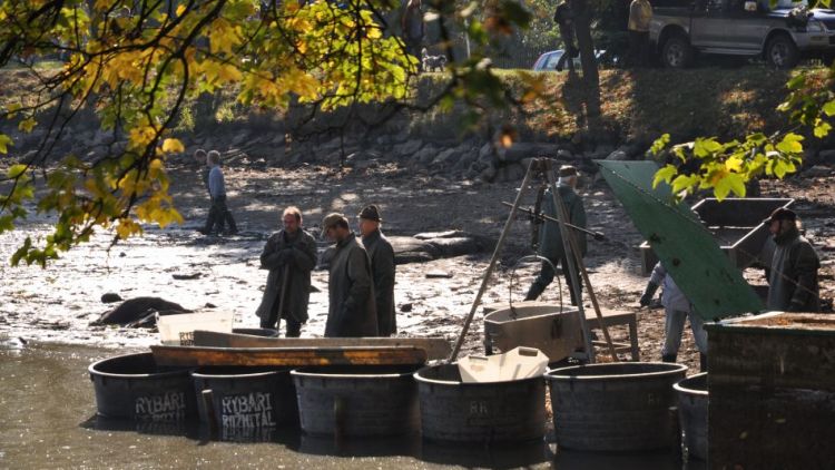 OBRAZEM: Výlov Sadoňského rybníku sledovaly stovky lidí