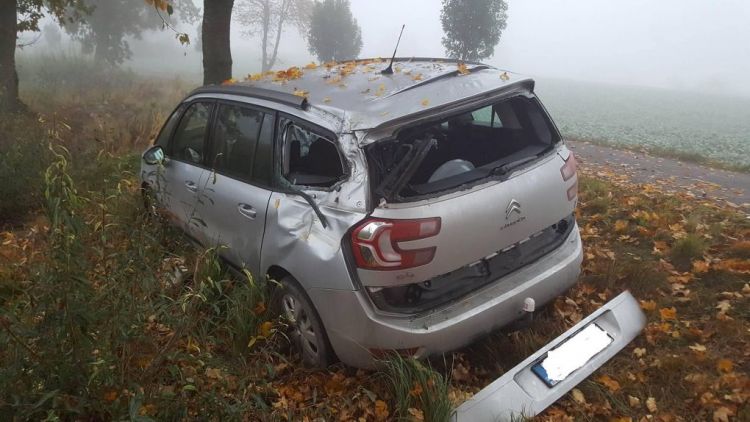 Aktuálně: U Zalužan narazil osobní vůz do stromu