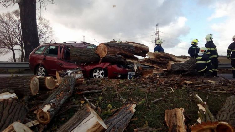 Právě teď: Strom zdemoloval vozidlo, řidič se podruhé narodil