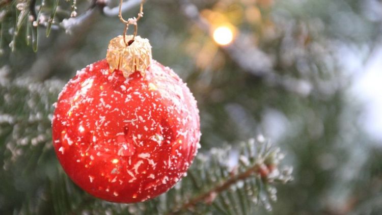 Vánoční strom, jako symbol zahájení adventu, se slavnostně rozsvítí v sobotu 2. prosince.