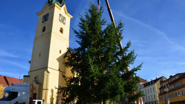 Fotogalerie: Vánoční strom v Příbrami už je na svém místě