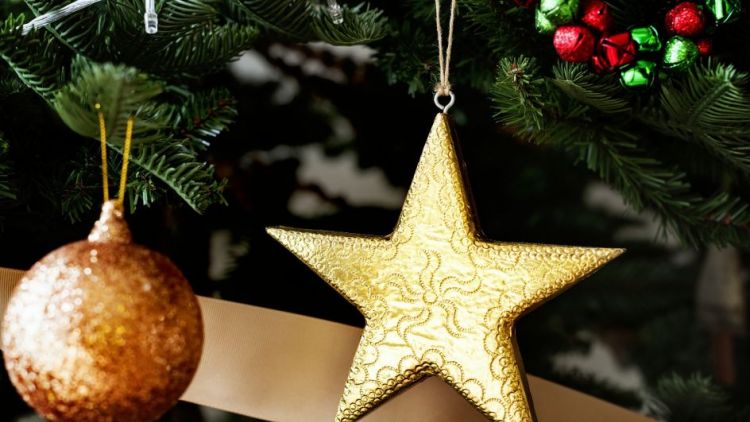 Vánoční jarmark, rozsvícení vánočního stromu a mikulášská nadílka čekají na obyvatele Petrovic