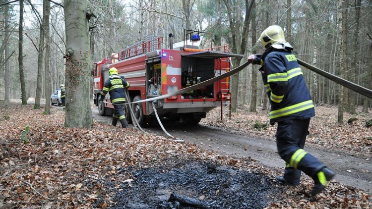 Hasiči zlikvidovali několik ohnisek požáru v lese u obce Vacíkov