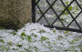 Meteorologové varují před silnými bouřkami, přívalovými srážkami a kroupami