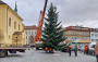 Příbram hledá vánoční strom. Město vyzývá občany ke spolupráci