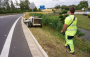 Na nové D4 se rozjela velká seč: Zeleně je kolem dálnice přes milion metrů čtverečních