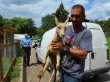 Minizoo obydlena! Ovce a kůzlata si zvykají na nové prostředí