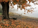 Do pátku léto, od soboty podzim. O víkendu se výrazně ochladí a podle meteorologů bude pršet