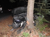 Aktuálně: Náraz do stromu zdemoloval Volkswagen k nepoznání, řidička je v péči lékařů