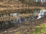 Příbram chce vyčistit Čekalíkovský rybník a zvelebit jeho okolí