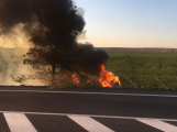 Video: Po nárazu do stromu skončilo auto v plamenech