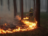 Hasiči bojují s rozsáhlým požárem lesa