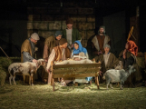 Sedlčanský živý betlém: Vánoční příběh v podání pastýřů, muzikantů i betlémských zvířat