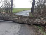 Silnice na Višňovou je uzavřena, hrozí pád větví