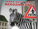 Akce „Zebra se za tebe nerozhlédne“