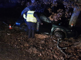 U Voznice narazilo auto do stromu. Řidič se vážně zranil, spolujezdkyně v šoku utekla