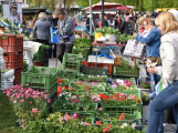 Veřejnost se může vyjádřit k otázce nejvhodnějšího místa konání farmářských trhů