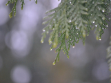 Velká vedra nečekejte. Meteorologové předpověděli počasí na následující týdny