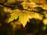 Meteorologové: Čekají nás poslední dva teplé týdny