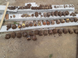 Žena v Hluboši našla při terénních úpravách své zahrady 58 granátů
