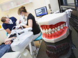 Dostupnost lékařů se ve středních Čechách liší, na hranicích s kraji chybí zubaři