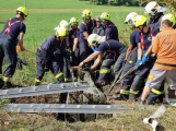 Ve smrtonosnou past se změnila odkrytá, částečně zaplavená jímka. Třem telatům hrozilo utonutí