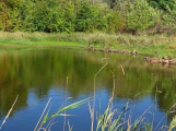 Kvalita vody ve středočeských přírodních koupalištích je většinou dobrá