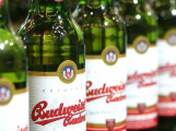 Budvar zdraží od 1. listopadu pivo v ČR v průměru o deset procent