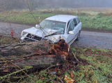 Řidička škodovky nezvládla jízdu a přerazila strom