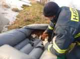 Hasiči na Příbramsku zachránili promrzlého psa z rybníku