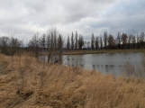 Vokačovský rybník čeká výlov