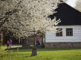 Od dubna otevírají všechny pobočky Hornického muzea, skanzen ve Vysokém Chlumci nabídne pestrý velikonoční program