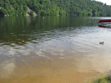 Hygienici hodnotili kvalitu vody ve středních Čechách, v Pilském rybníku evidují zvýšený obsah sinic a chlorofylu
